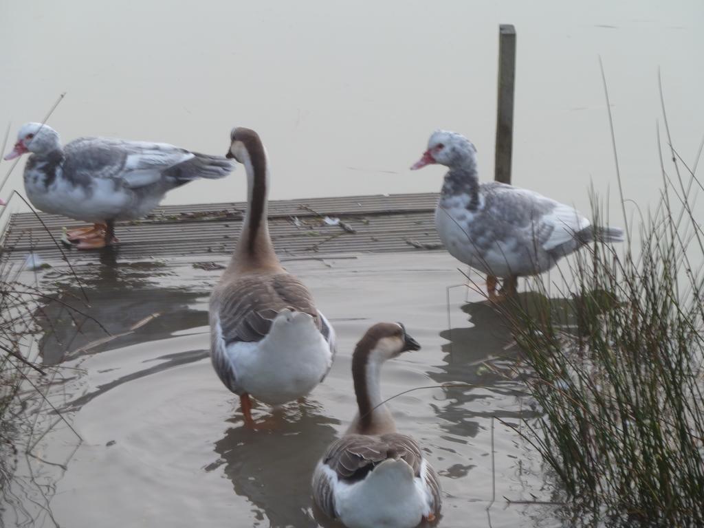 Lake Les Landes Montpon-Menesterol Exterior foto