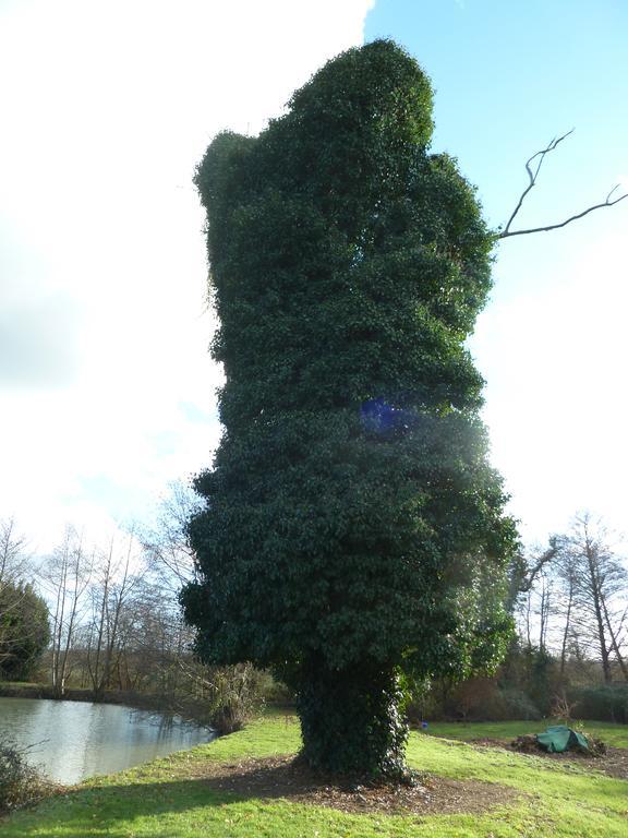 Lake Les Landes Montpon-Menesterol Exterior foto
